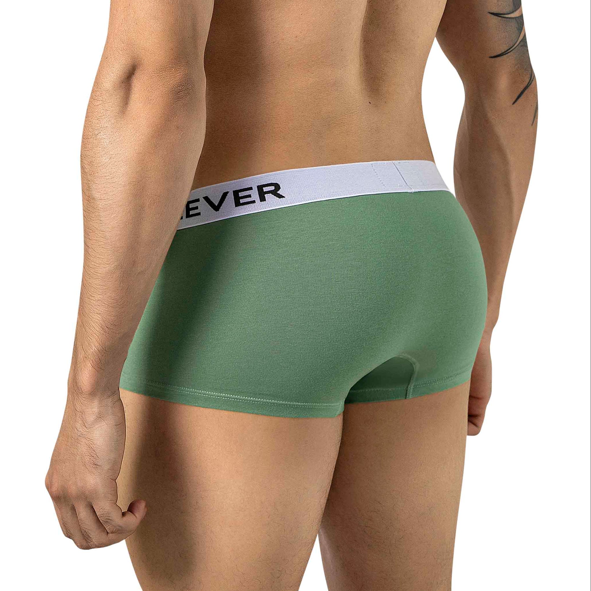 BOXER LATINO AQUILES VERDE