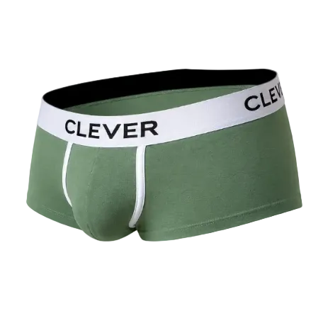 BOXER LATINO AQUILES VERDE