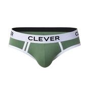 BRIEF DE SESGOS AQUILES VERDE