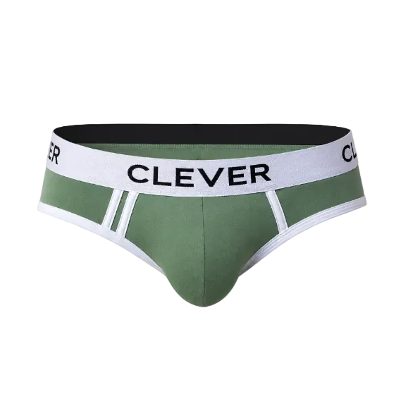 BRIEF DE SESGOS AQUILES VERDE