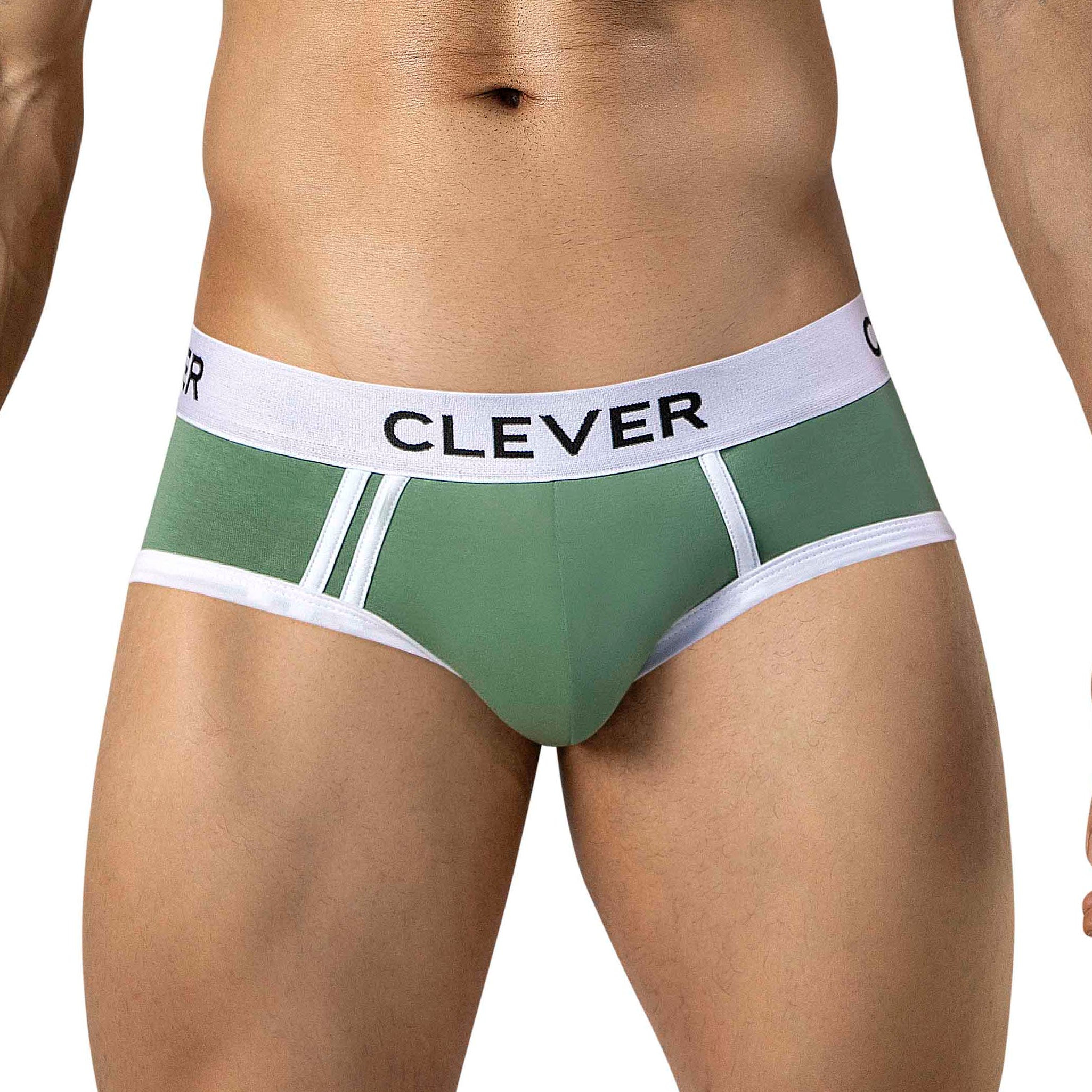 BRIEF DE SESGOS AQUILES VERDE