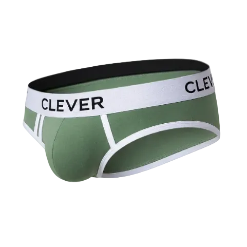 BRIEF DE SESGOS AQUILES VERDE