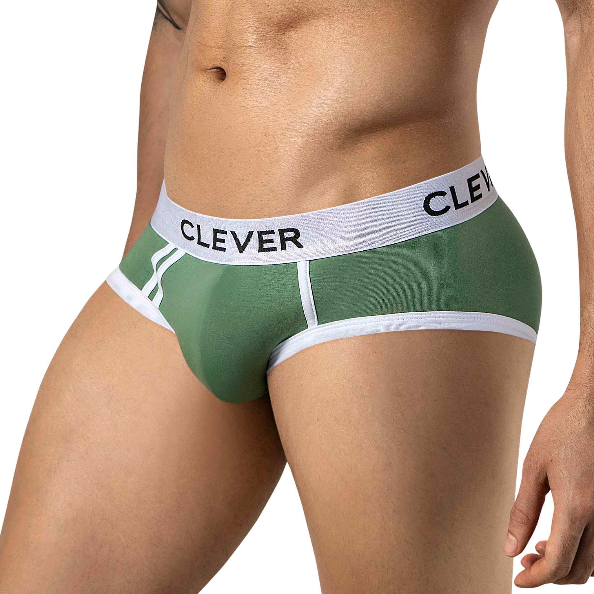 BRIEF DE SESGOS AQUILES VERDE