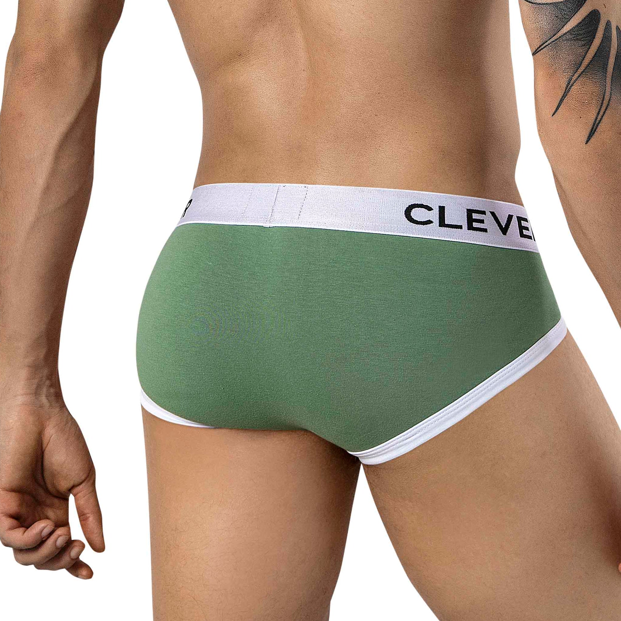 BRIEF DE SESGOS AQUILES VERDE