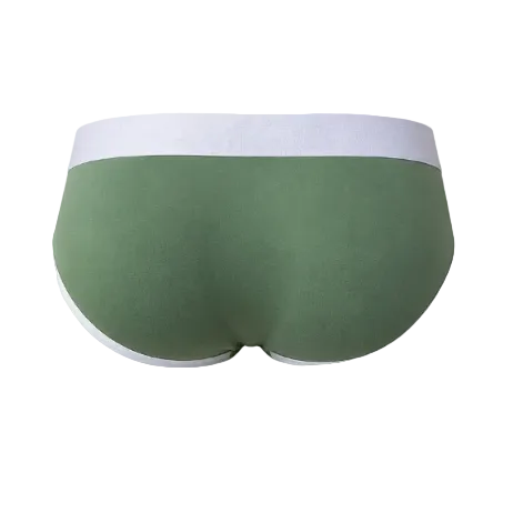 BRIEF DE SESGOS AQUILES VERDE