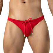 PALMETTO BRIEF SWIMSUIT