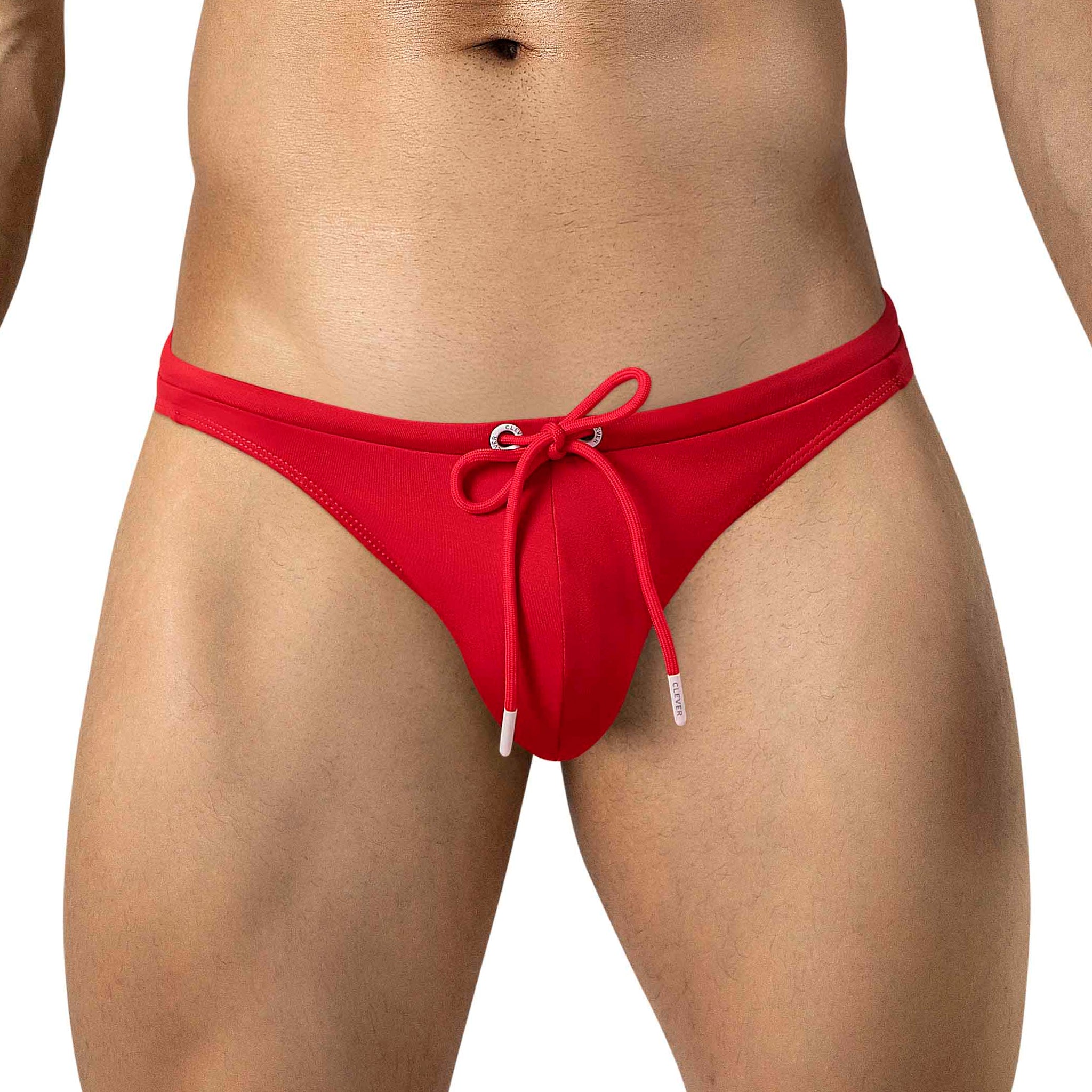 PALMETTO BRIEF SWIMSUIT