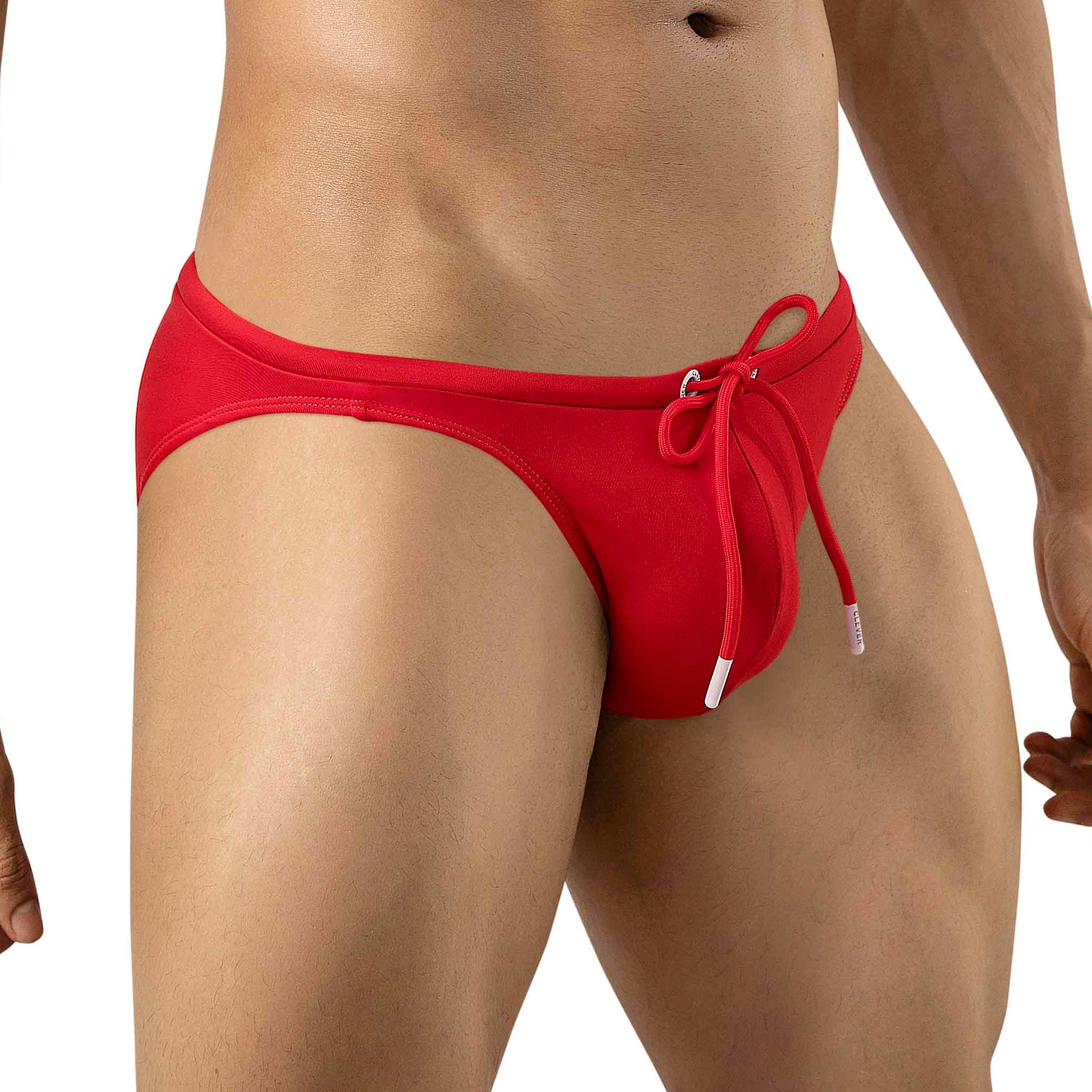 PALMETTO BRIEF SWIMSUIT