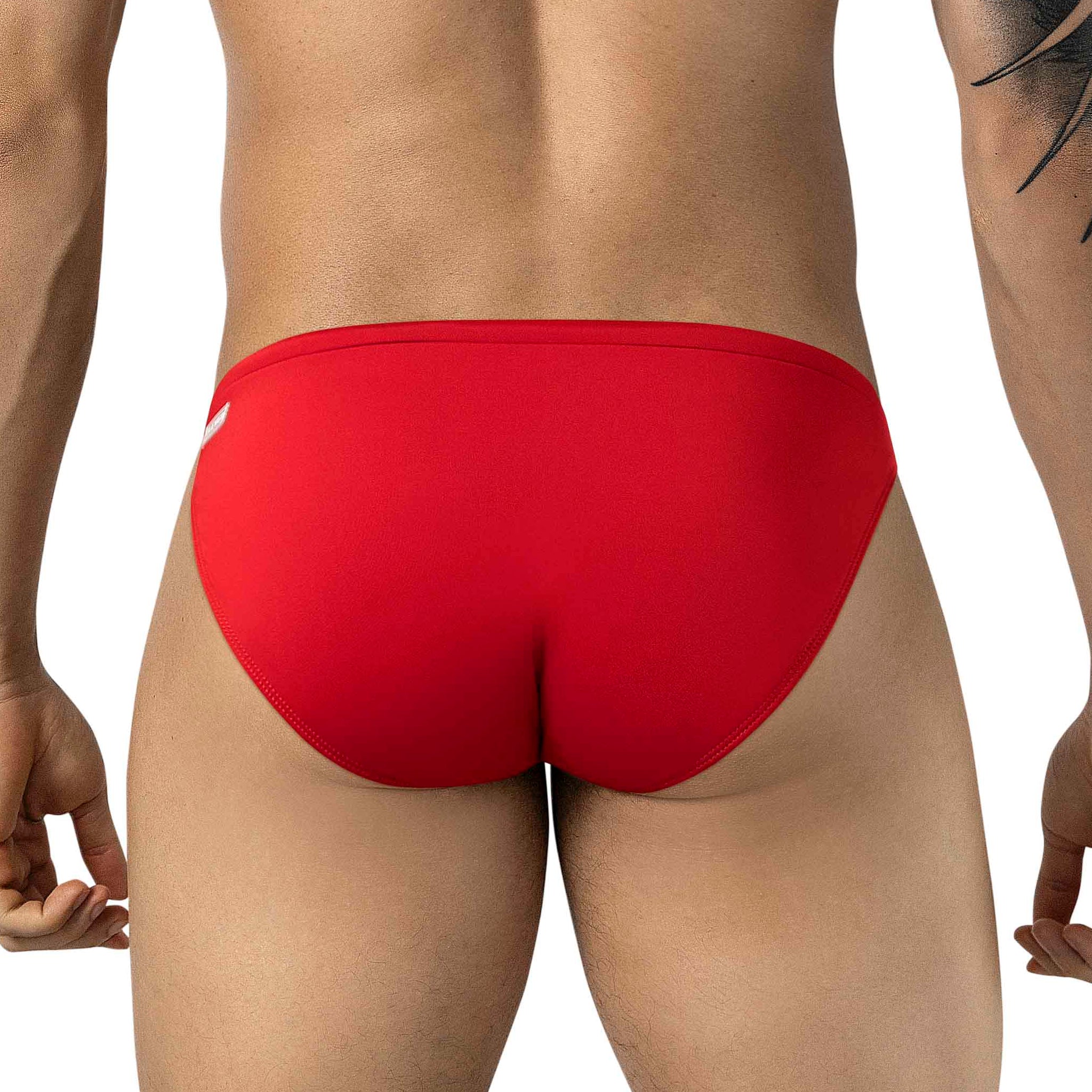 PALMETTO BRIEF SWIMSUIT